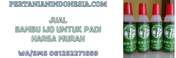 jual,murah,terjangkau,toko pertanian terdekat,pertanian indonesia